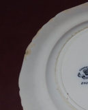 Antique Ashworth Bros. Hanley English Porcelain Plate w/ Bird Decor - As-Is Chip