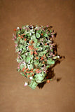 Vintage Lg Chinese Jade Leaf & Glass Cherry Blossom Bonsai Tree in Pot on Base