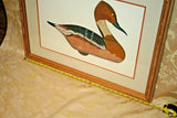 Framed Arthur Nevin Duck Decoy Print - Whistling Tree Decoy II - 1986 - #30/50