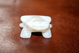 Vintage Asian Style Carved White 2" Long Miniature Soapstone Frog Figurine