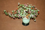 Vintage Lg Chinese Jade Leaf & Glass Cherry Blossom Bonsai Tree in Pot on Base