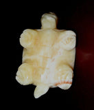 Vintage Collectible 4" Long Hand Carved Onyx Box Turtle Figure Sculpture