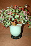 Vintage Lg Chinese Jade Leaf & Glass Cherry Blossom Bonsai Tree in Pot on Base