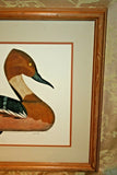 Framed Arthur Nevin Duck Decoy Print - Whistling Tree Decoy II - 1986 - #30/50