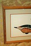 Framed Arthur Nevin Duck Decoy Print - Whistling Tree Decoy II - 1986 - #30/50