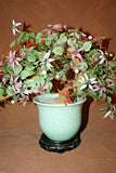 Vintage Lg Chinese Jade Leaf & Glass Cherry Blossom Bonsai Tree in Pot on Base