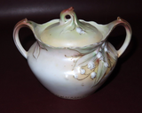 Antique R.S. Prussia Fine Porcelain Two Handle Floral Pattern Sugar Bowl w/ Lid