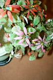 Vintage Lg Chinese Jade Leaf & Glass Cherry Blossom Bonsai Tree in Pot on Base