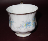 Vintage Paragon "Remember Me" English Bone China Baby Blue Floral Cup & Saucer