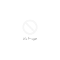 Antiques:Antiquities:Islamic